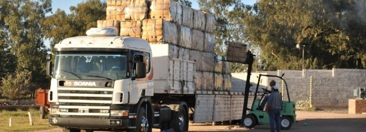 Buen trabajo de reciclado en General San Martín