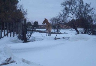 Podría nevar en La Pampa