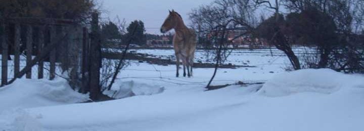 Podría nevar en La Pampa