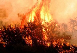 Incendio forestal en La Pampa: Se quemaron 3 mil hectáreas