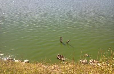 Recursos Hídricos: Toma de muestras de agua en la Laguna Don Tomás de Santa Rosa