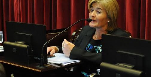 Senadora Higonet, presentó un proyecto para proteger a la mujer trabajadora en situación de embarazo.