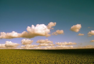 La Pampa, una de las provincias más competitivas