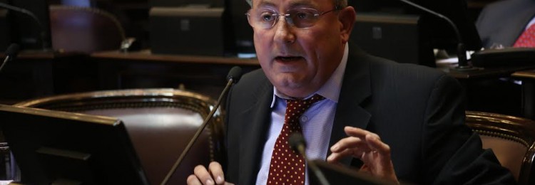 Marino adelantó que votará en contra la despenalización del aborto