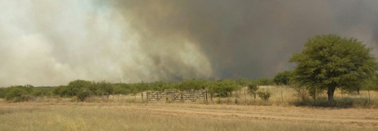 Incendios rurales: todos los focos controlados