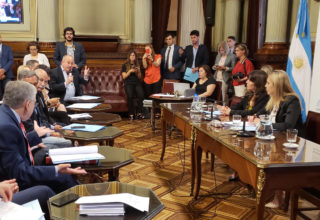 Marino celebró el avance de la Ley de Talles en el Senado