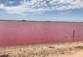 Preocupación por extraña coloración en laguna de Darregueira