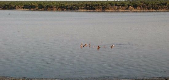 ¿Termas de Gutraché podrían tratar el Covid?