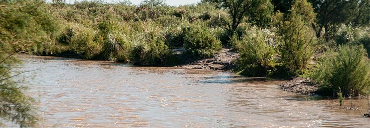 La Pampa suma dos nuevas áreas protegidas para revalorizar sus humedales