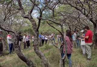 Guatraché: Manejo de bosques nativos y pastizales naturales