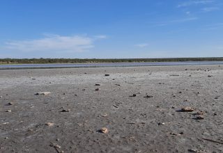 Recorrida de técnicos por la Reserva Provincial Laguna Guatraché