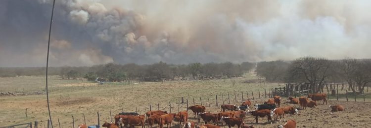 Producción recorrió establecimientos afectados por los incendios