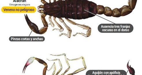 Brindan información precisa sobre especies de importancia sanitaria