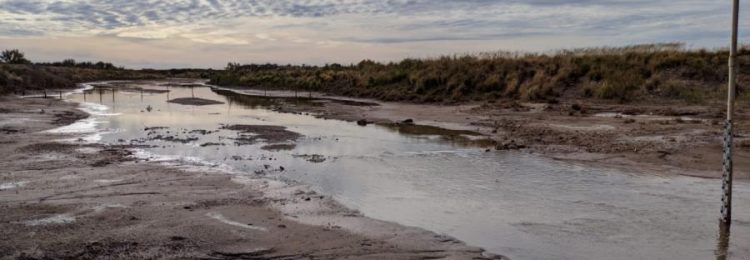 Técnicos realizaron aforos en los ríos Atuel, Salado y Quinto