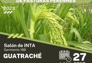 Charla sobre Aportes No Reembolsables para pasturas perennes en Guatraché