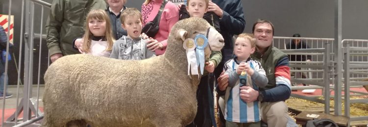 Destacada presencia de la ganadería pampeana en la Rural de Palermo