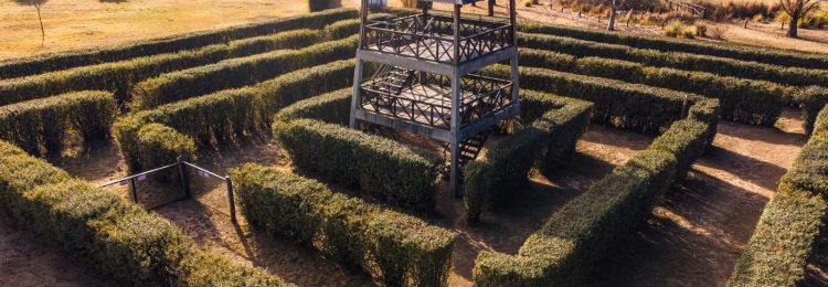 El Jardín Botánico Provincial estará abierto durante el fin de semana largo