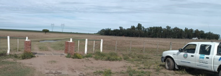 Alpachiri: la Policía detuvo a tres achenses con tres ovejas vivas en el baúl