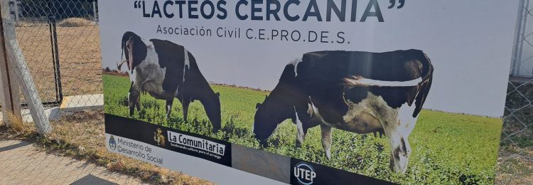 Cooperativa de Trabajo piquense proyecta expandir su producción