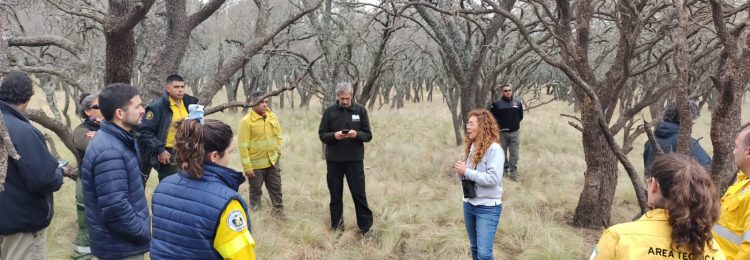 Se realizó en Parque Luro la reunión de la Regional Pampeana para el Manejo del Fuego