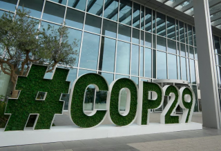 La Pampa puso en la agenda del COFEMA el impacto del retiro argentino de la COP 29