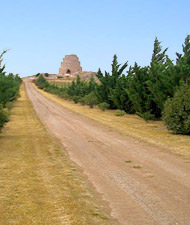 Camino al Millenium - Puán