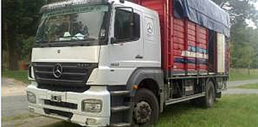 camion_detenido