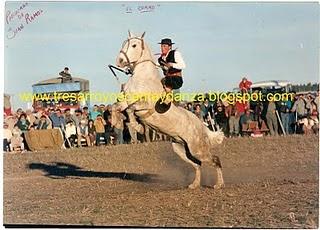 El Zorro I